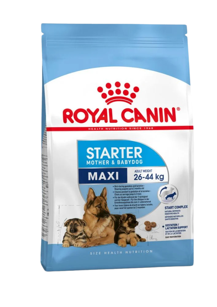 dog food