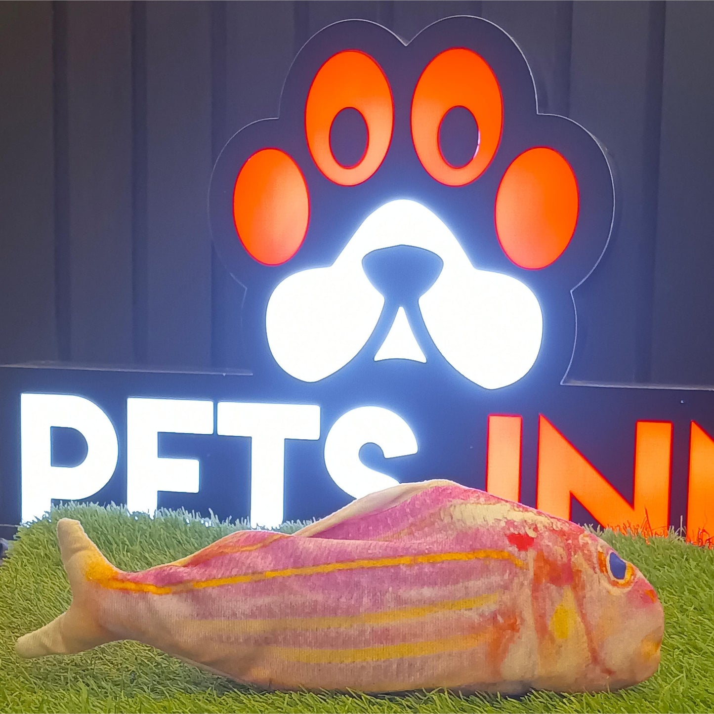 Vibrate Fish Toy For Kittens & Cats